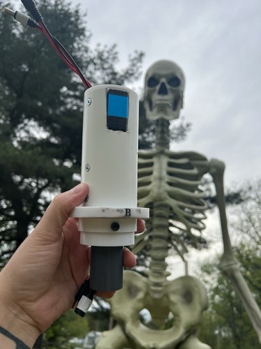 Skeleton head turning - 12’,